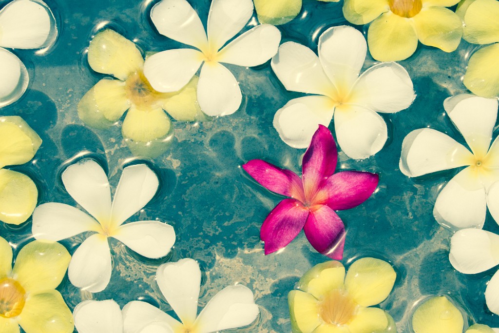 Flowers_In_Water